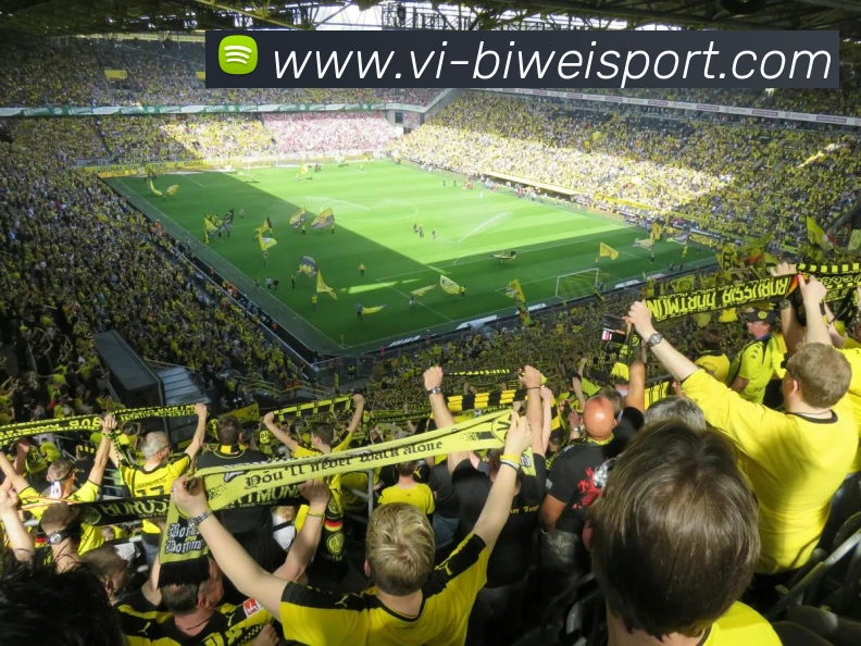 App Interface Preview